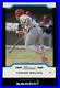 2004 Bowman Baseball Silver Uncirculated 330 Card Complete Set 091/245 Molina Rc