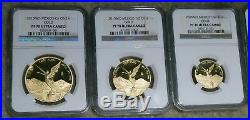 2015 Mexico Gold Proof Libertad 5 Coin Complete Set NGC Proof 70 Ultra Cameo