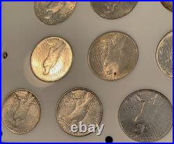 Beautiful Peace Dollar Complete Date Set, 1921-1935, All Years, Gorgeous Luster