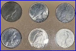 Complete 1921-1935 Peace Dollar 24-Coin Set in Dansco Album! WOW Bid & Get! Yay