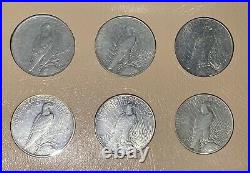 Complete 1921-1935 Peace Dollar 24-Coin Set in Dansco Album! WOW Bid & Get! Yay