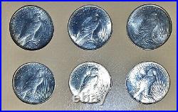 Complete Peace Silver Dollar Set 1921-1935. Ch/gem Bu Dansco Album