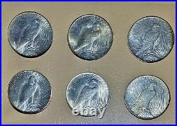 Complete Peace Silver Dollar Set 1921-1935. Ch/gem Bu Dansco Album